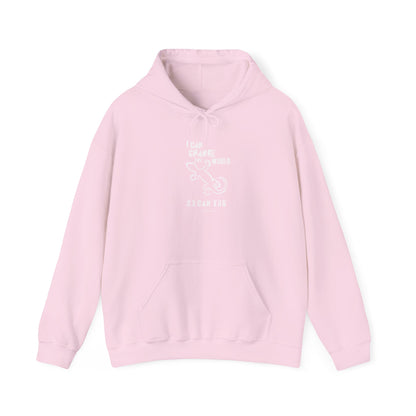 'I can change the world' (gecko) hoodie